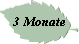 3 Monate