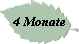 4 Monate
