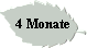 4 Monate