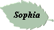 Sophia
